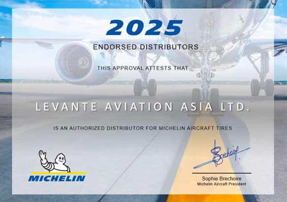authorized for michelin aircraft tires